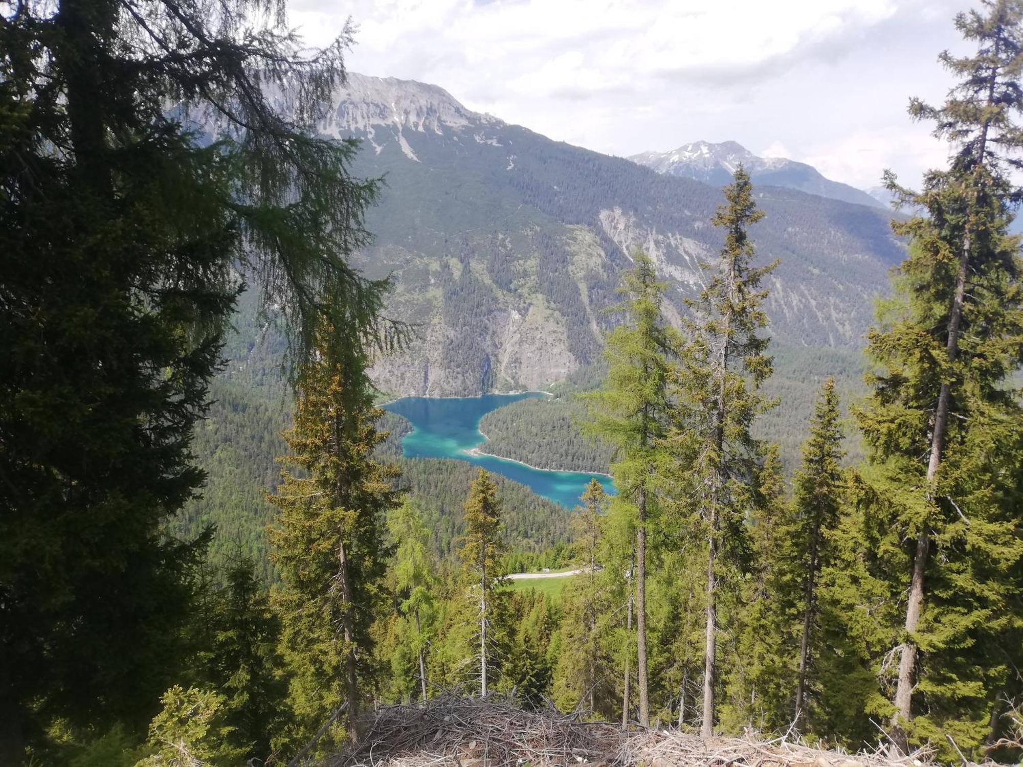 Gipfelblick- Tiroler Zugspitze Arena In Apartment Biberwier